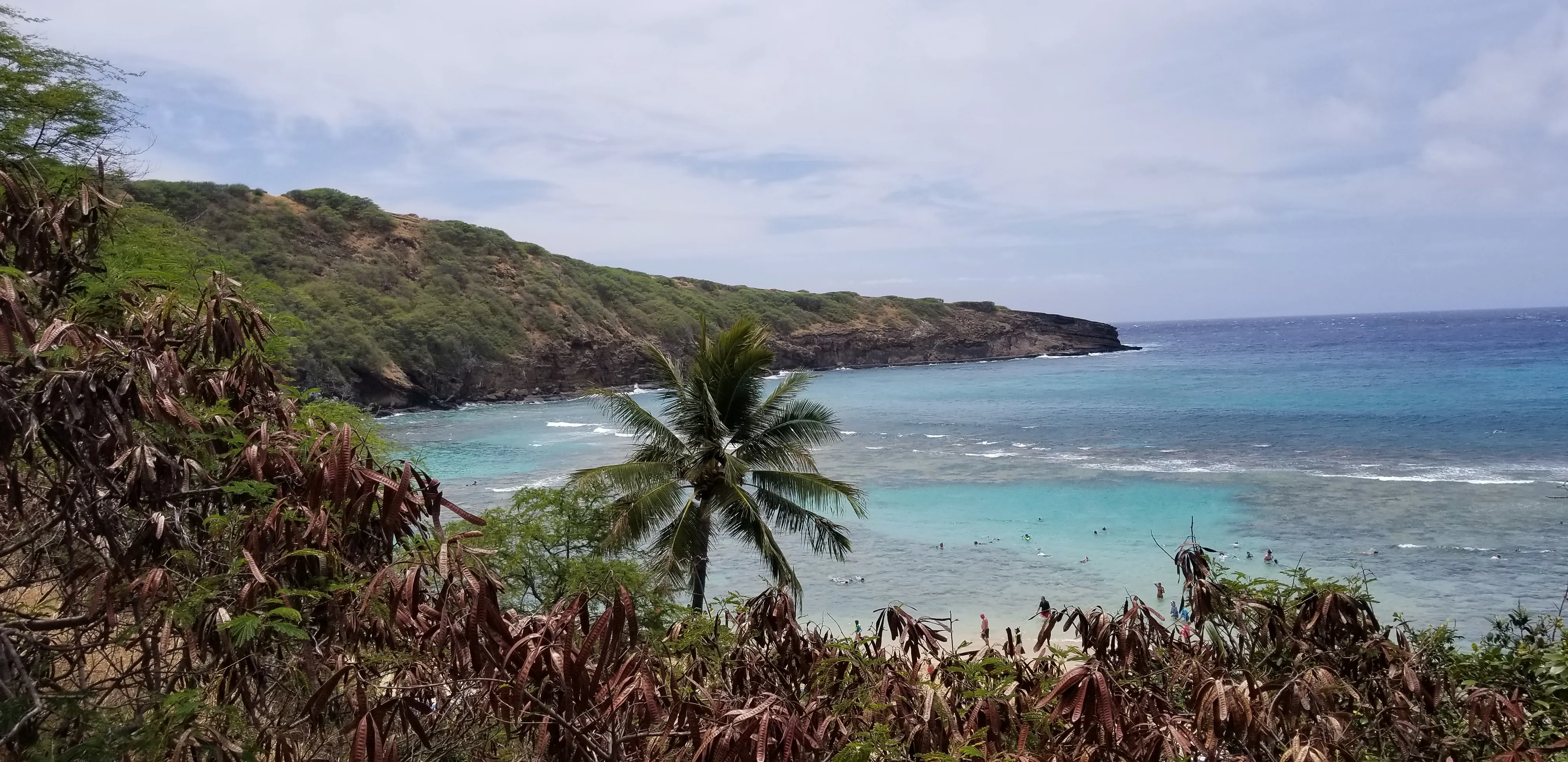 Snorkel at Hanauma Bay