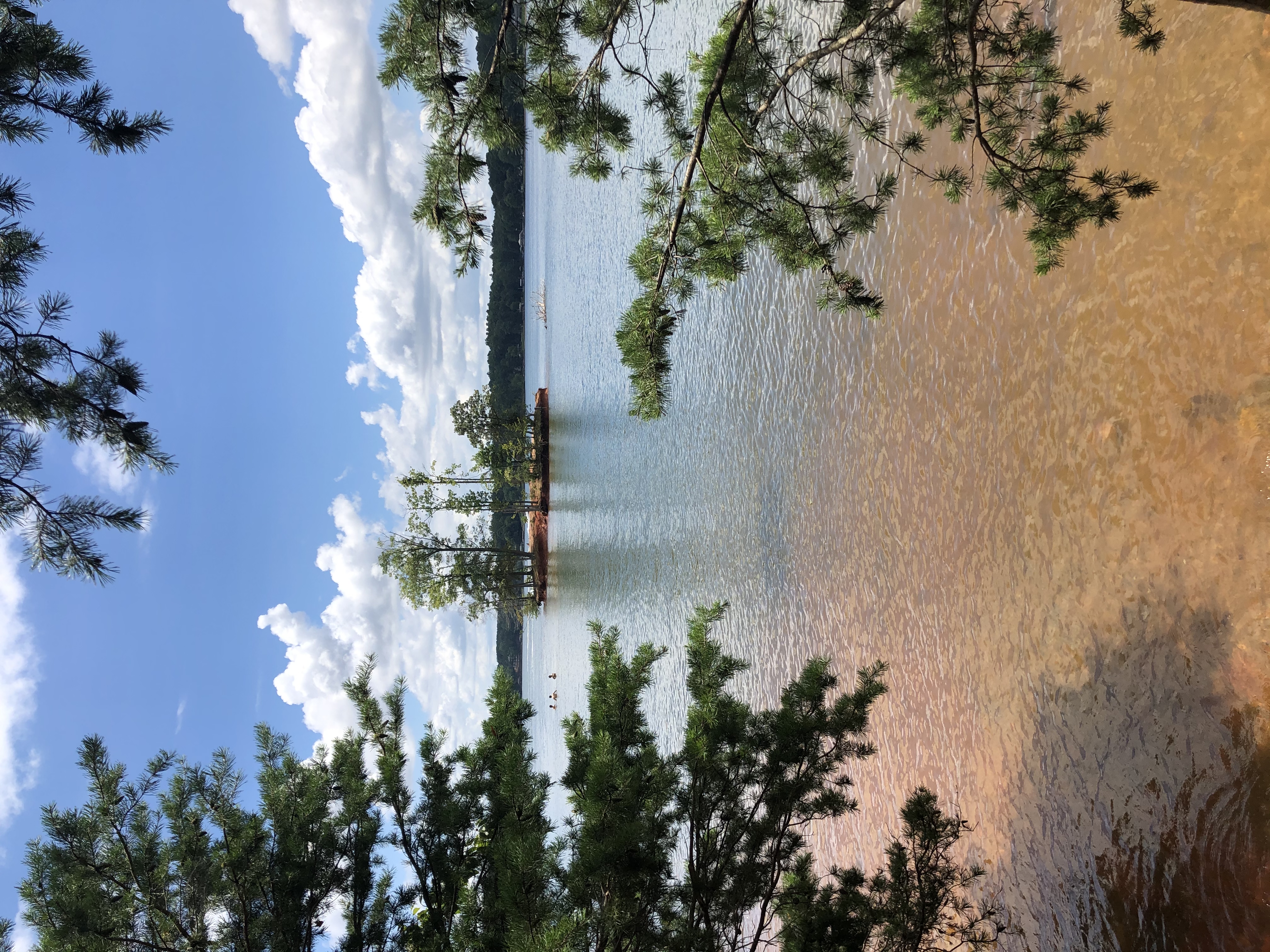 Hike the Lake Shore Trail at Lake Norman