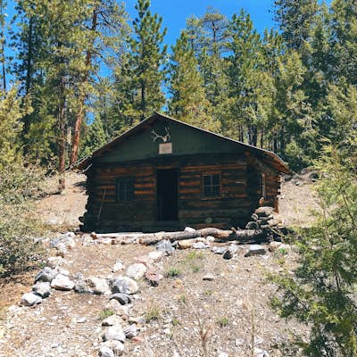 Hike to the Hidden Forest Cabin