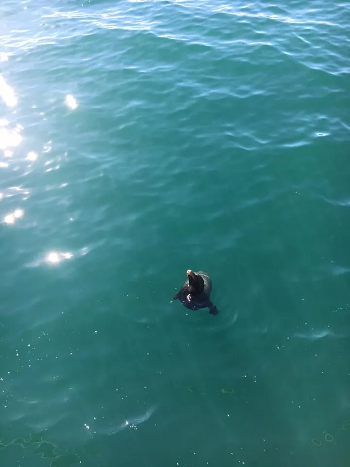 Santa Monica Pier
