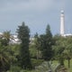 Climb Gibb's Hill Lighthouse