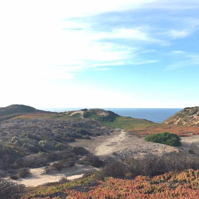 Explore Fort Ord Dunes State Park
