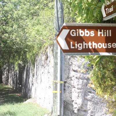 Climb Gibb's Hill Lighthouse