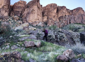 Hike to Praying Hands in Lost Dutchman State Park