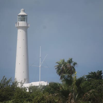 Climb Gibb's Hill Lighthouse