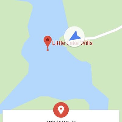 Fish Little Lake Willis