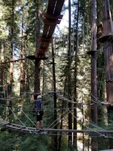 Tree Climb Mount Hermon