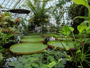 Visit the Conservatory of Flowers