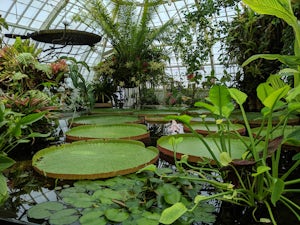 Conservatory of Flowers