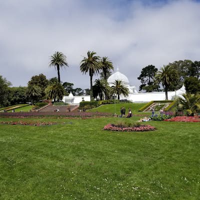 Visit the Conservatory of Flowers