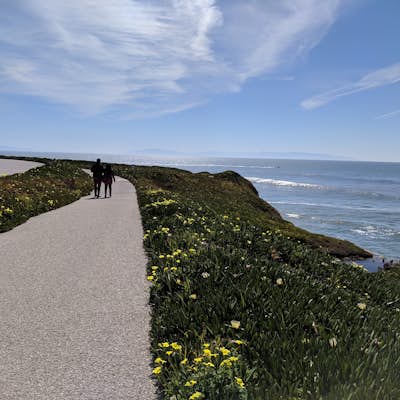 Hike Natural Bridges to Lighthouse Field