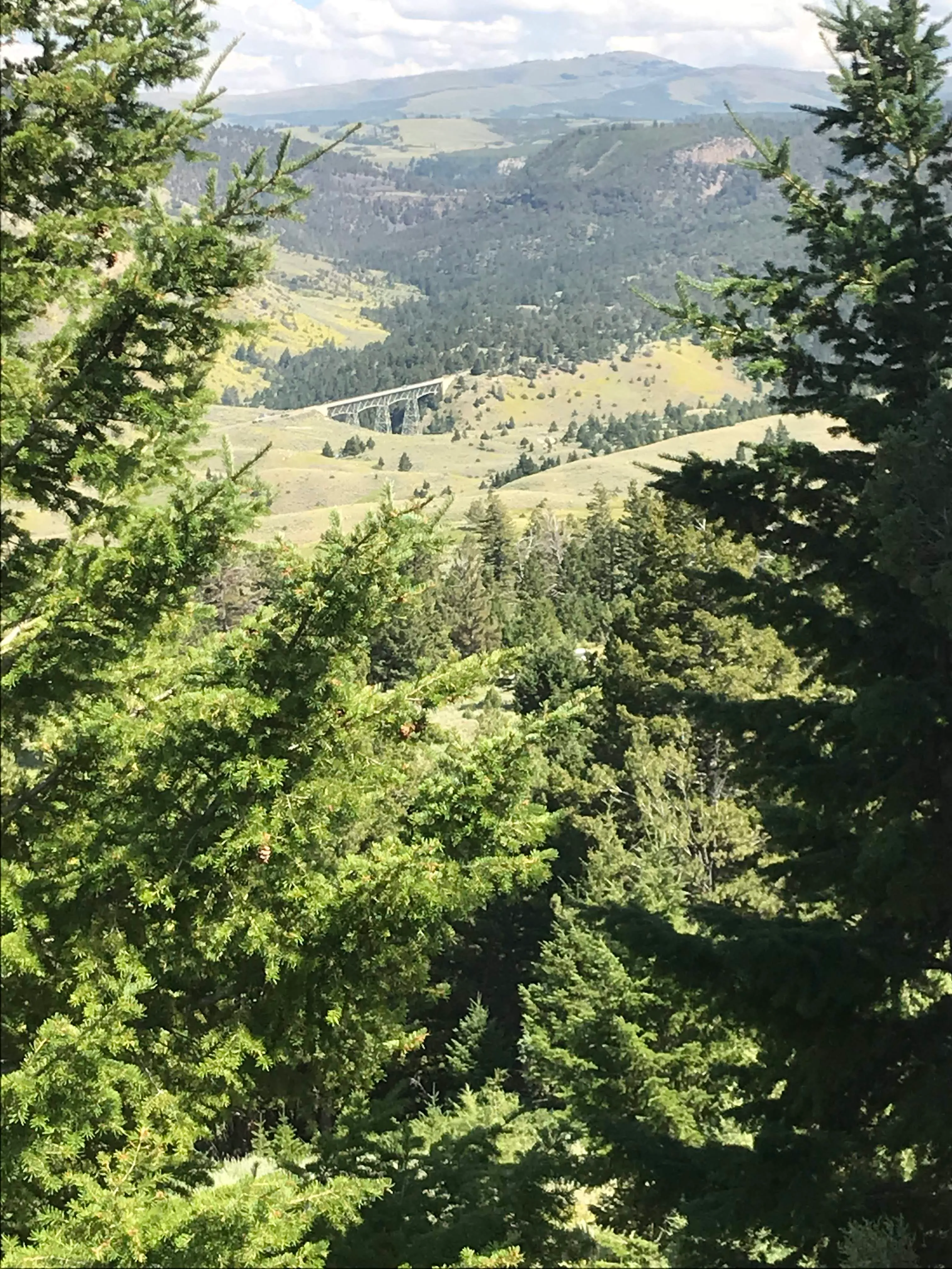 Visit Gardiner MT the northern entrance to Yellowstone NP