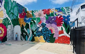 Wander through the Wynwood Walls