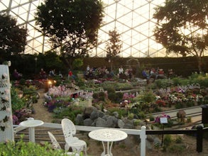 ​Explore the Milwaukee Domes      