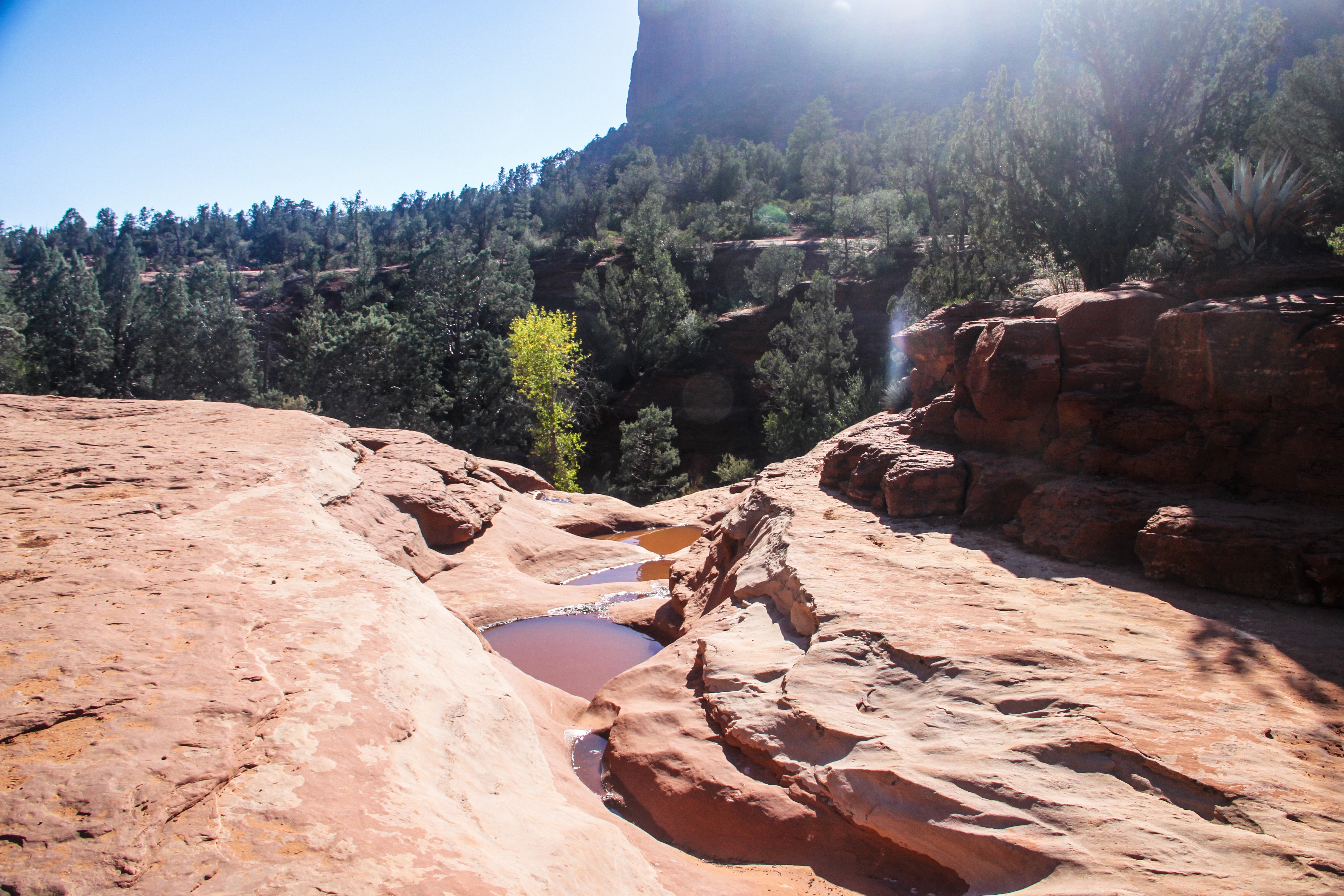 Soldier's Pass Trail to Brins Mesa Trail