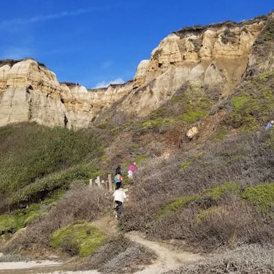 Hike the Cowell-Purisma Trail