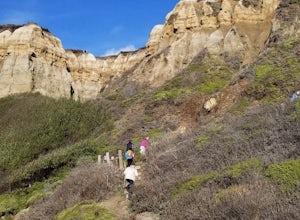 Hike the Cowell-Purisma Trail