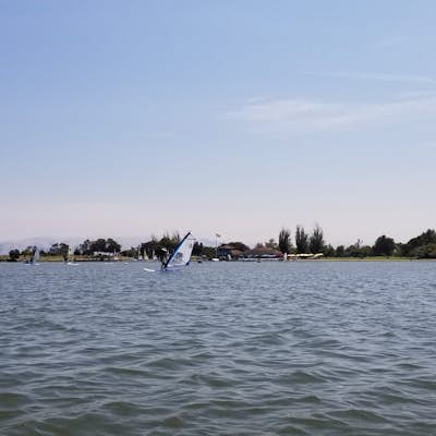 SUP Shoreline Lake