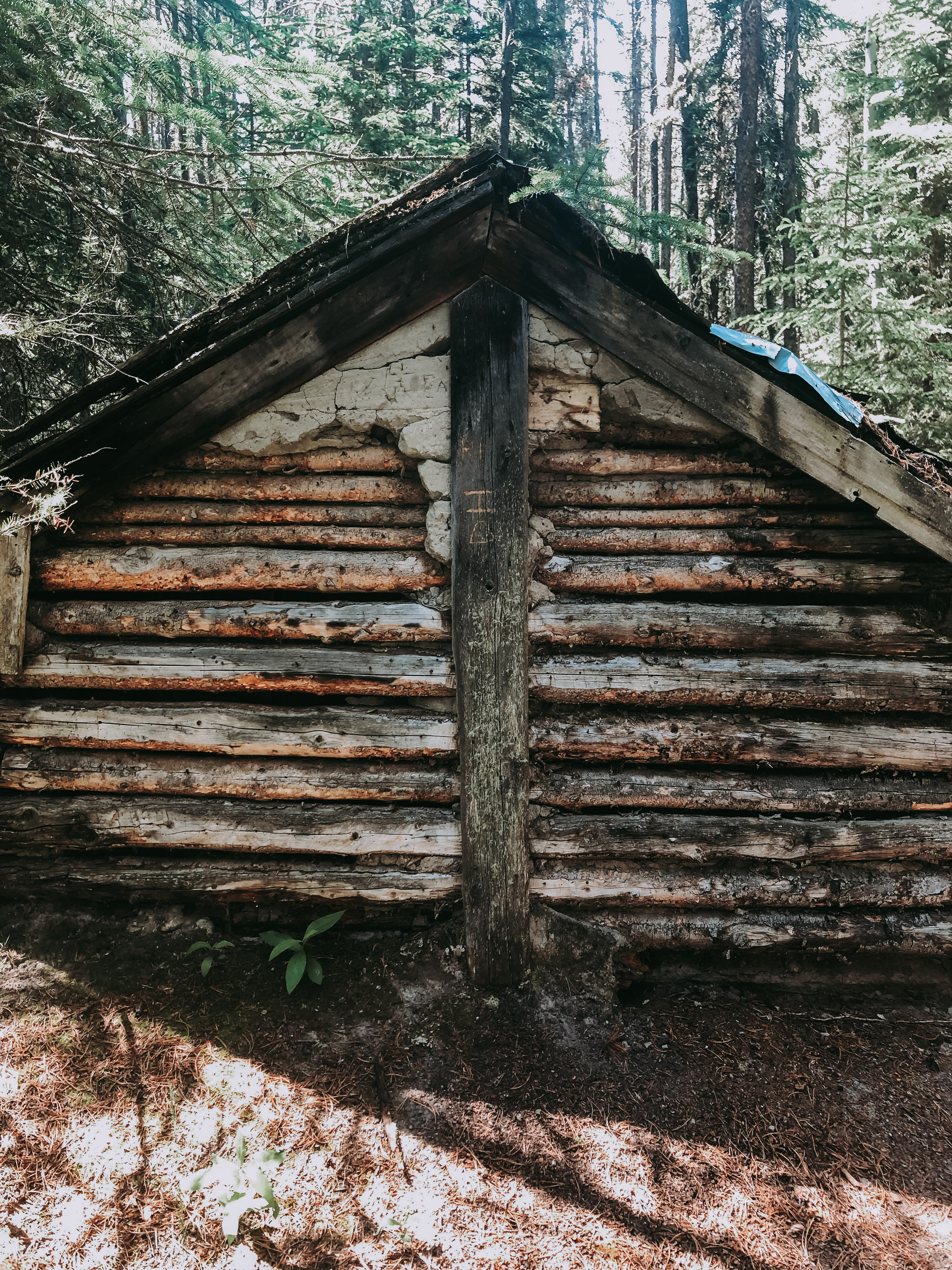 Hike to the Hermit of Inglismaldie