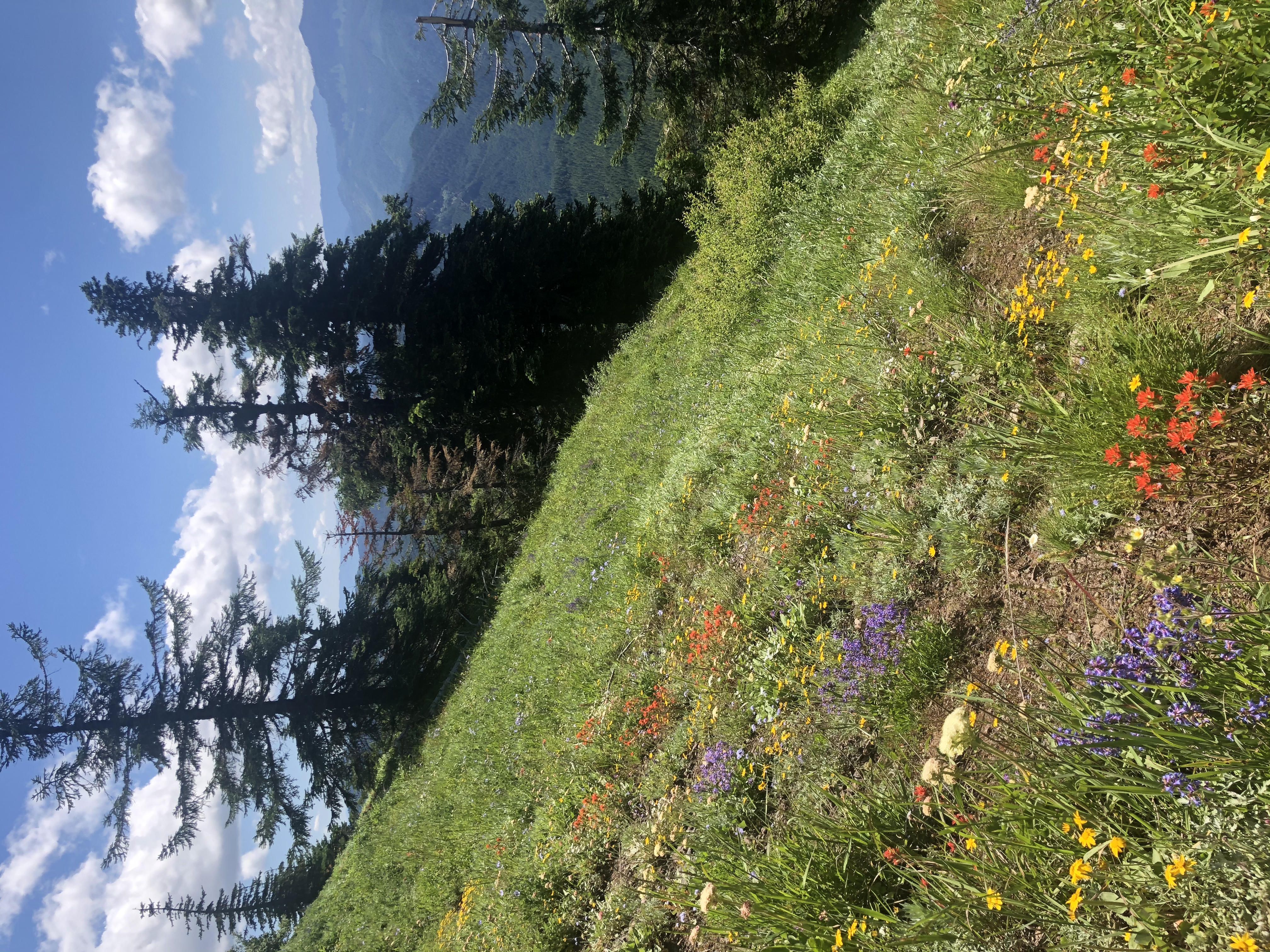 Iron Mountain 