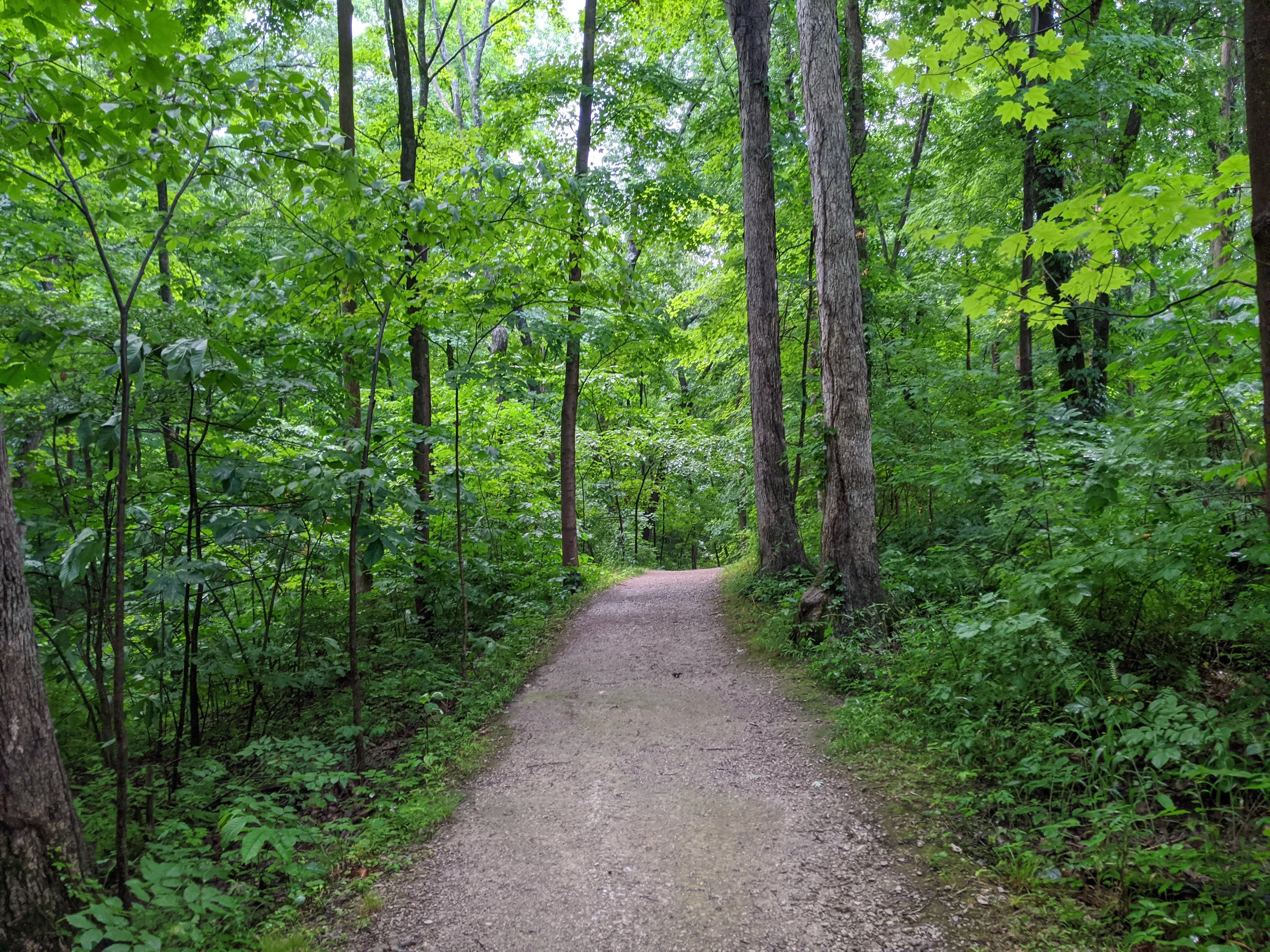 Hike the Overlook-Hickory Ridge-Brookside Trail