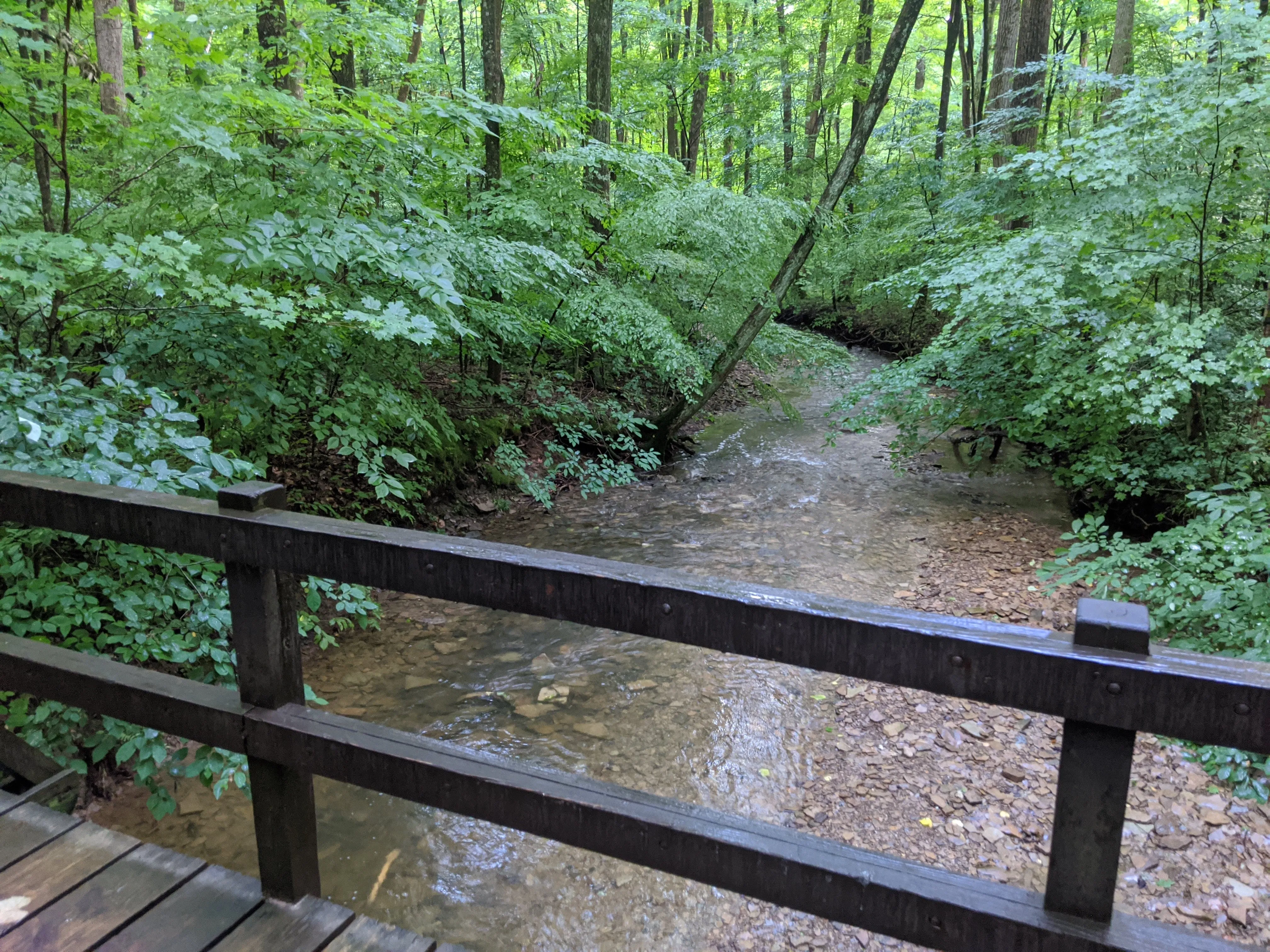 Hike the Overlook-Hickory Ridge-Brookside Trail