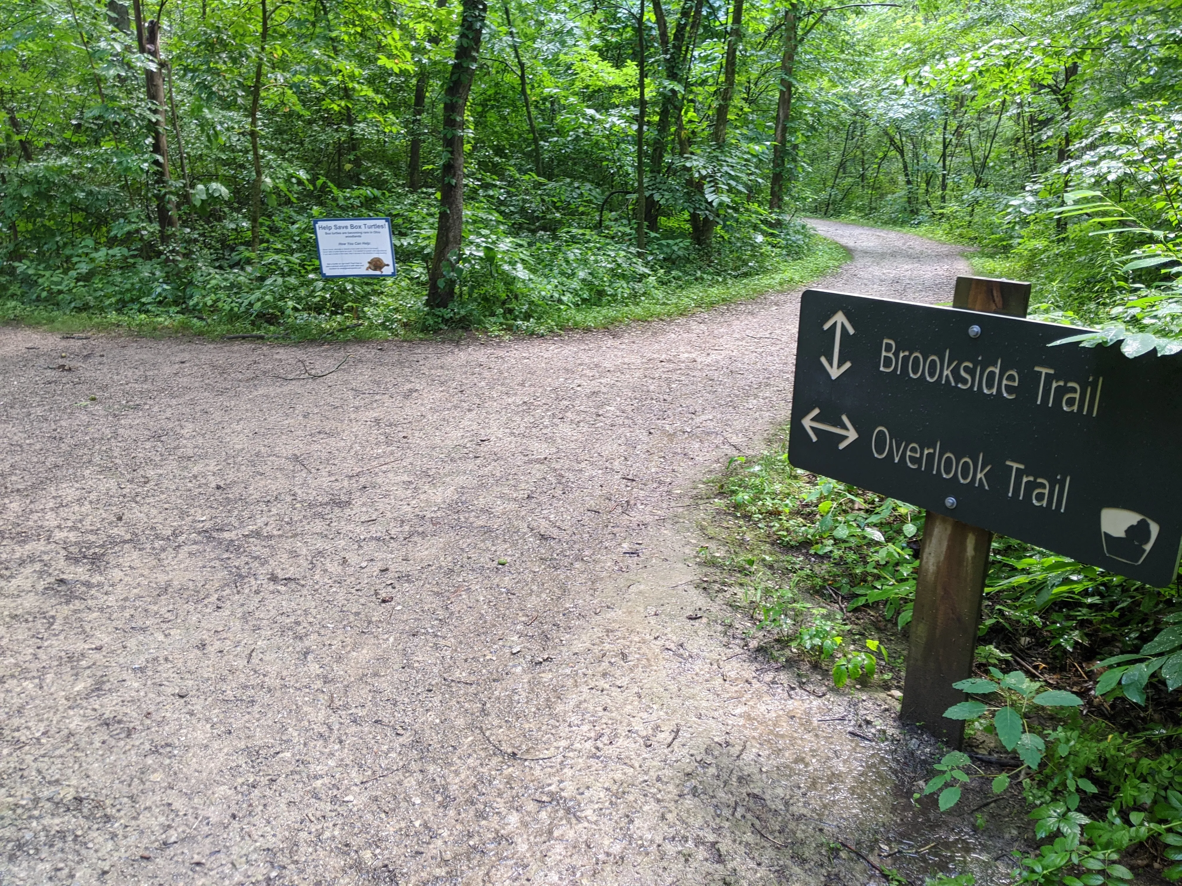 Hike the Overlook-Hickory Ridge-Brookside Trail