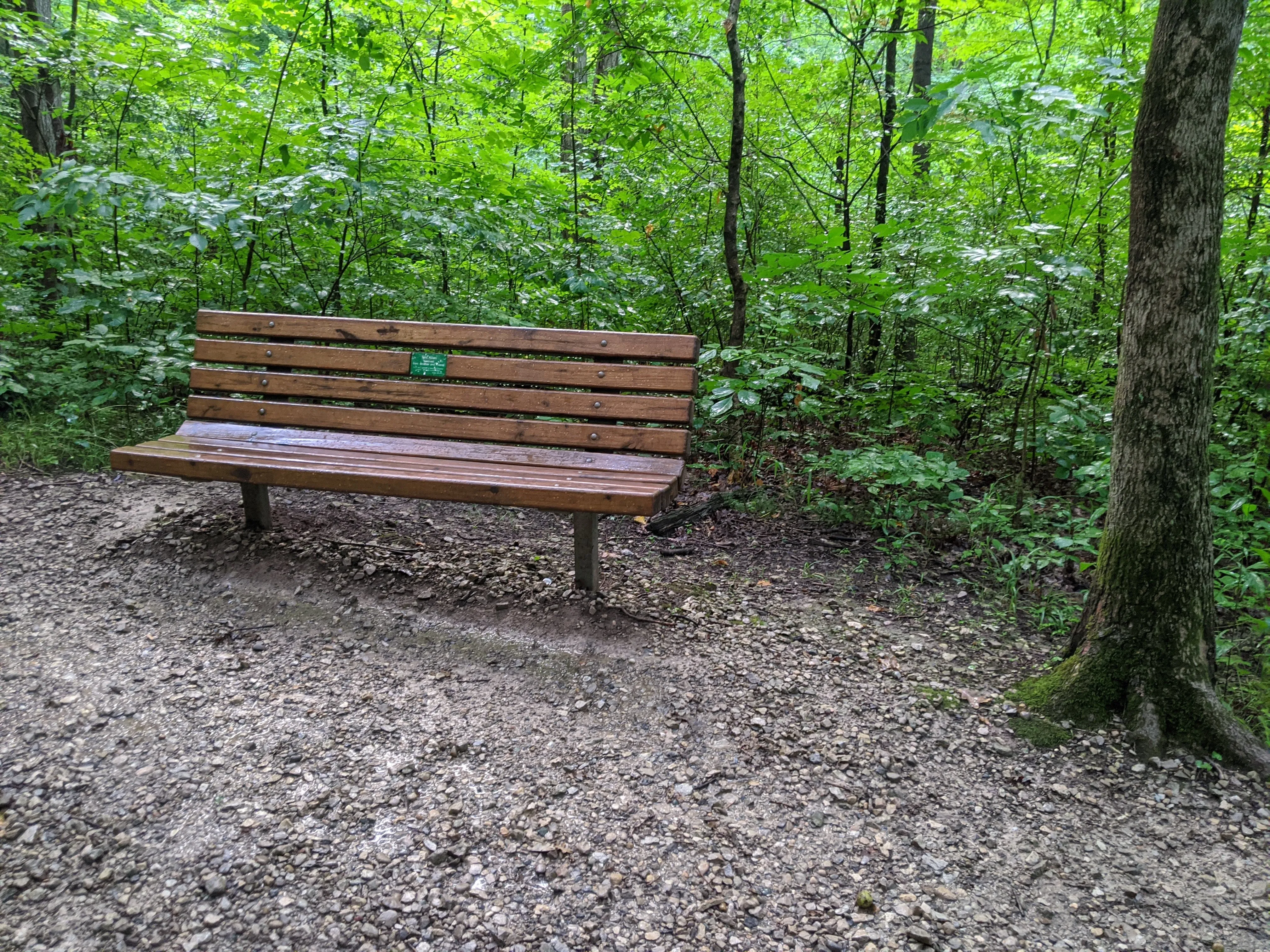 Hike the Overlook-Hickory Ridge-Brookside Trail