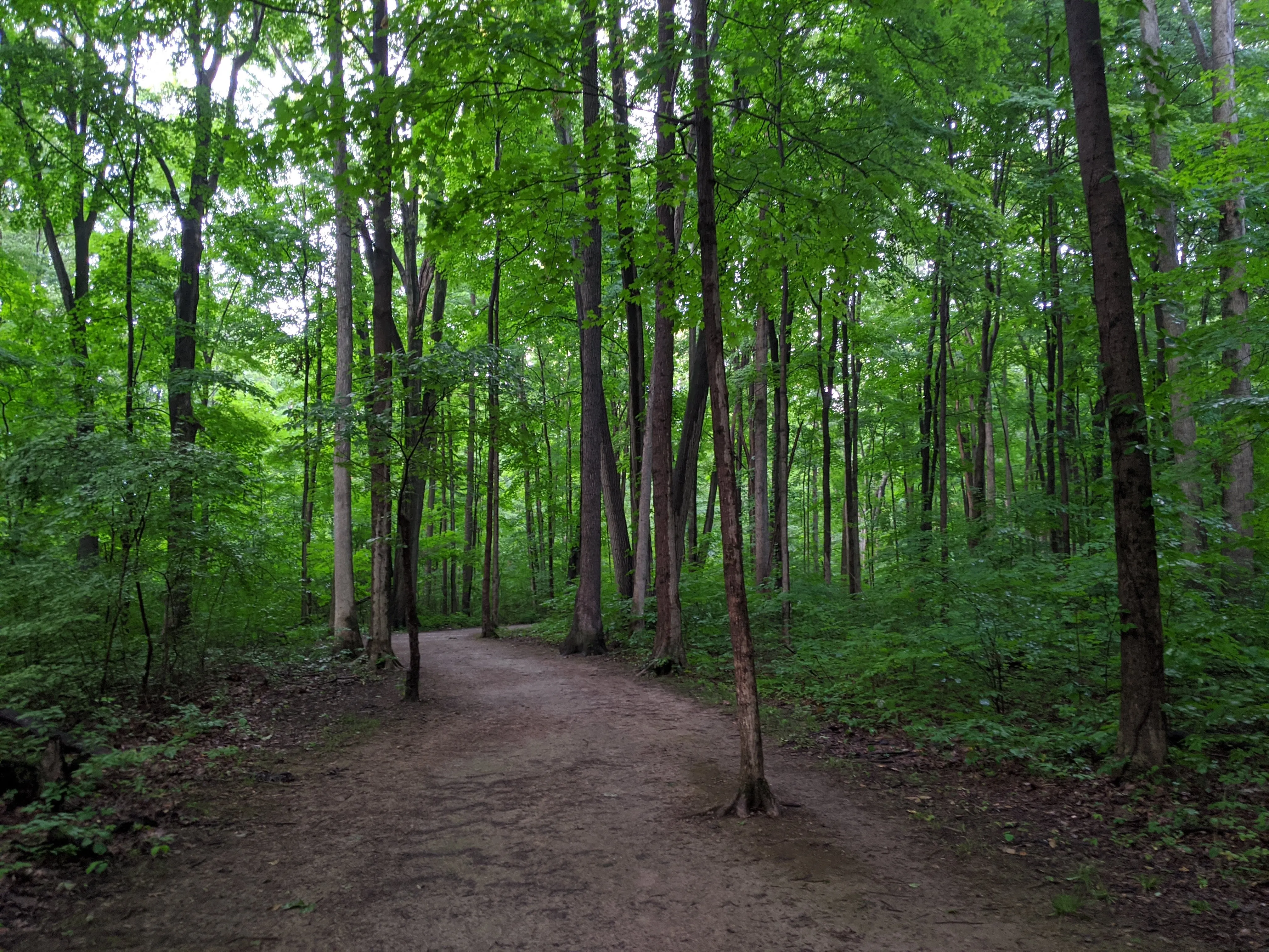 Hike the Overlook-Hickory Ridge-Brookside Trail