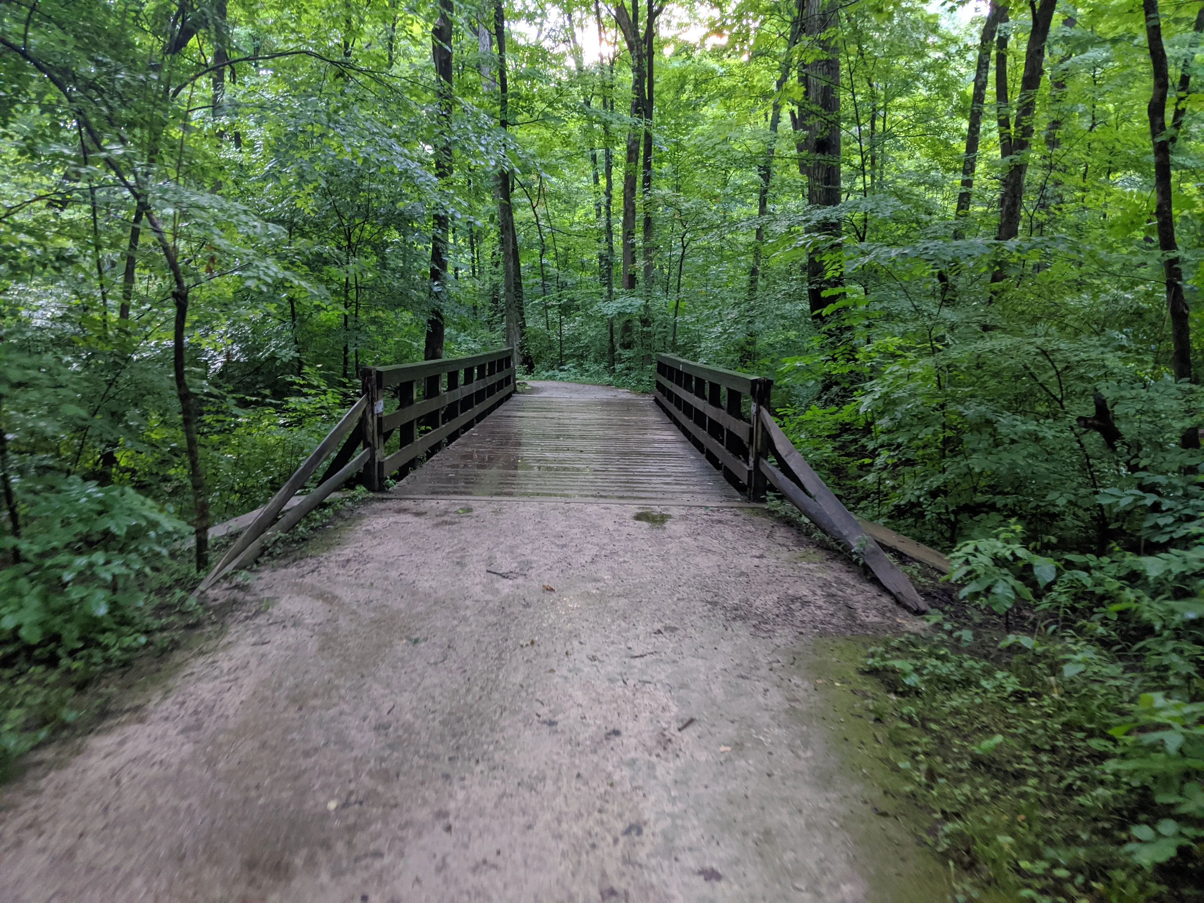 Hike the Overlook-Hickory Ridge-Brookside Trail