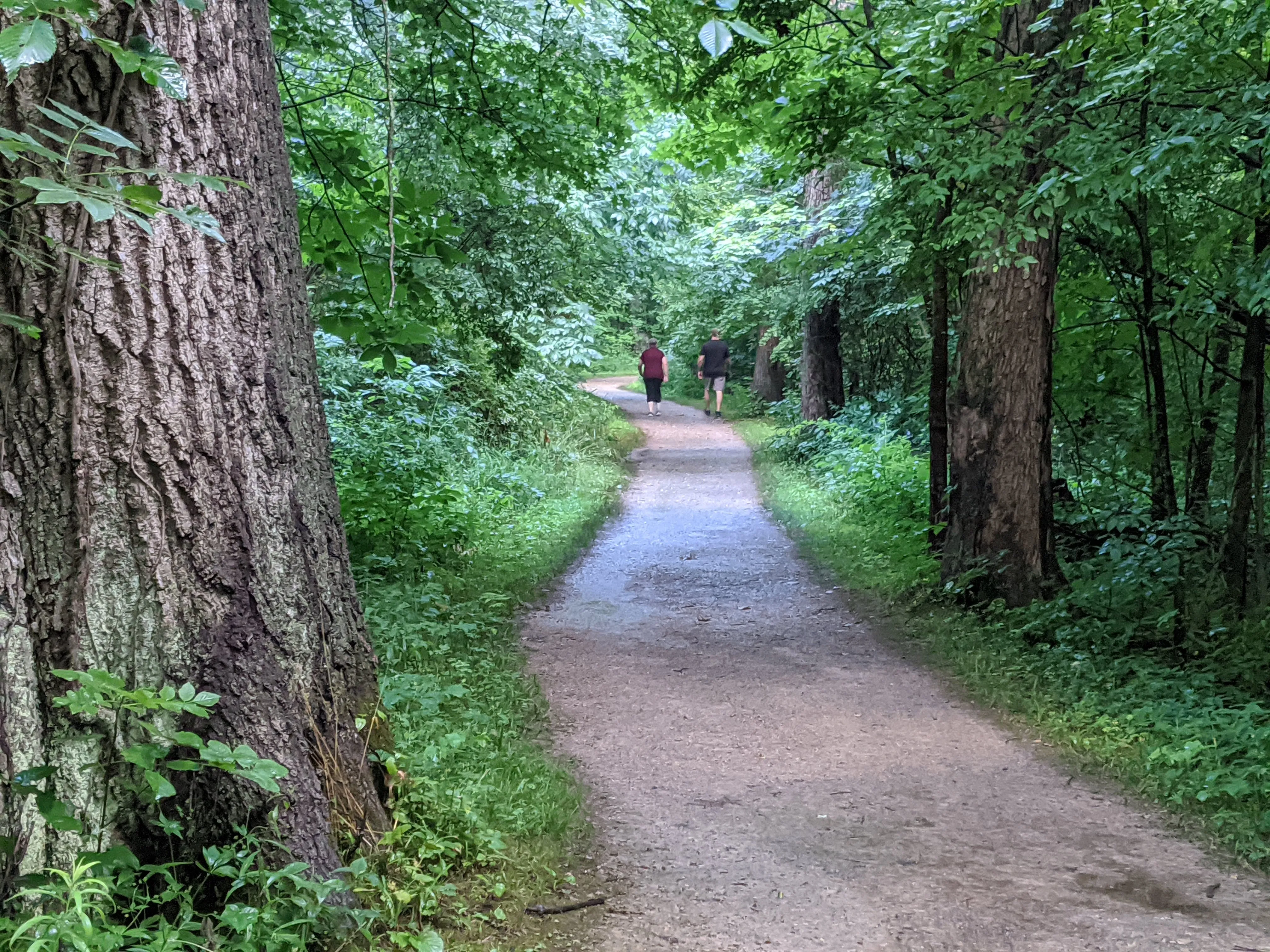 Hike the Overlook-Hickory Ridge-Brookside Trail