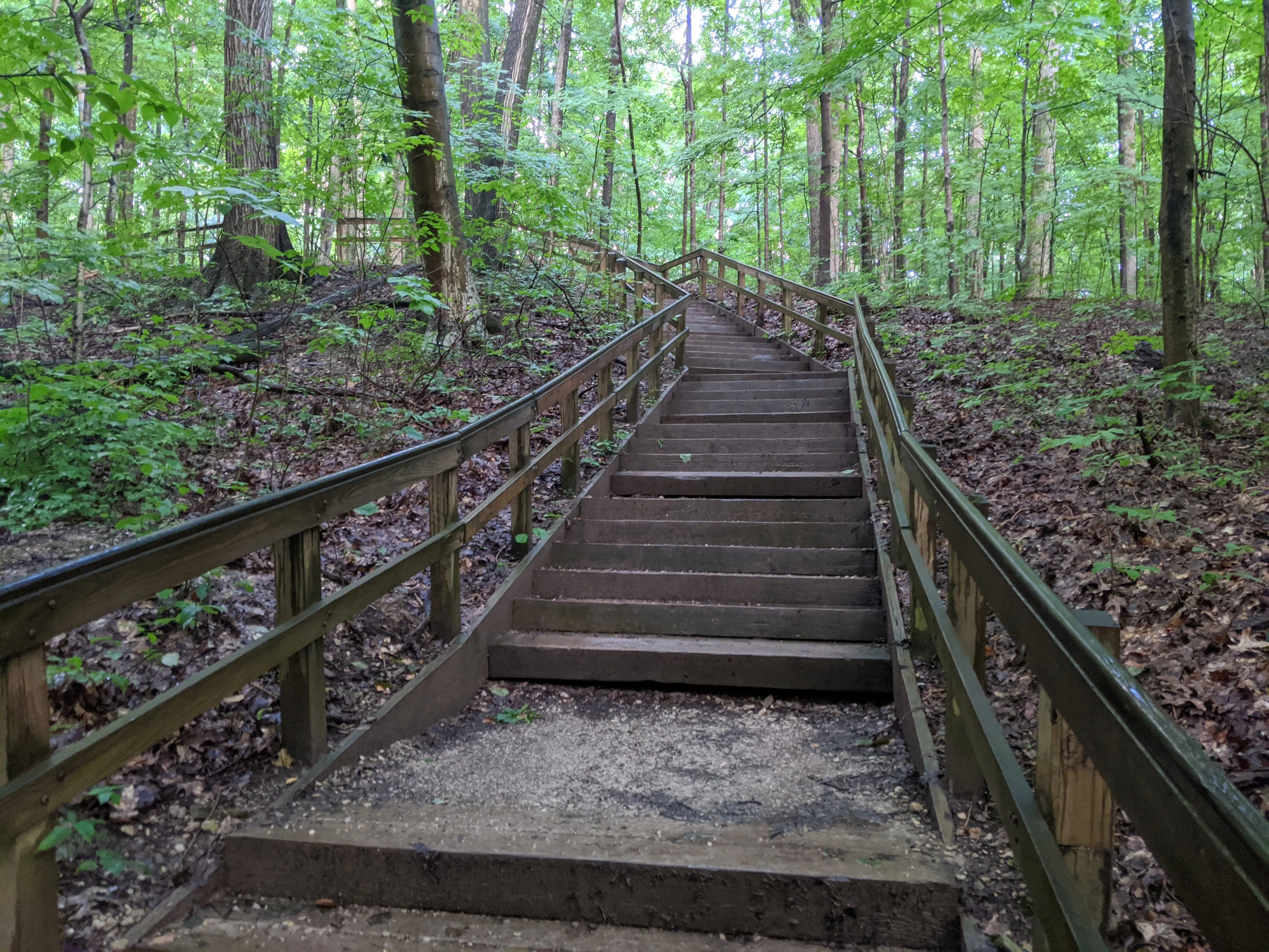 Hike the Overlook-Hickory Ridge-Brookside Trail