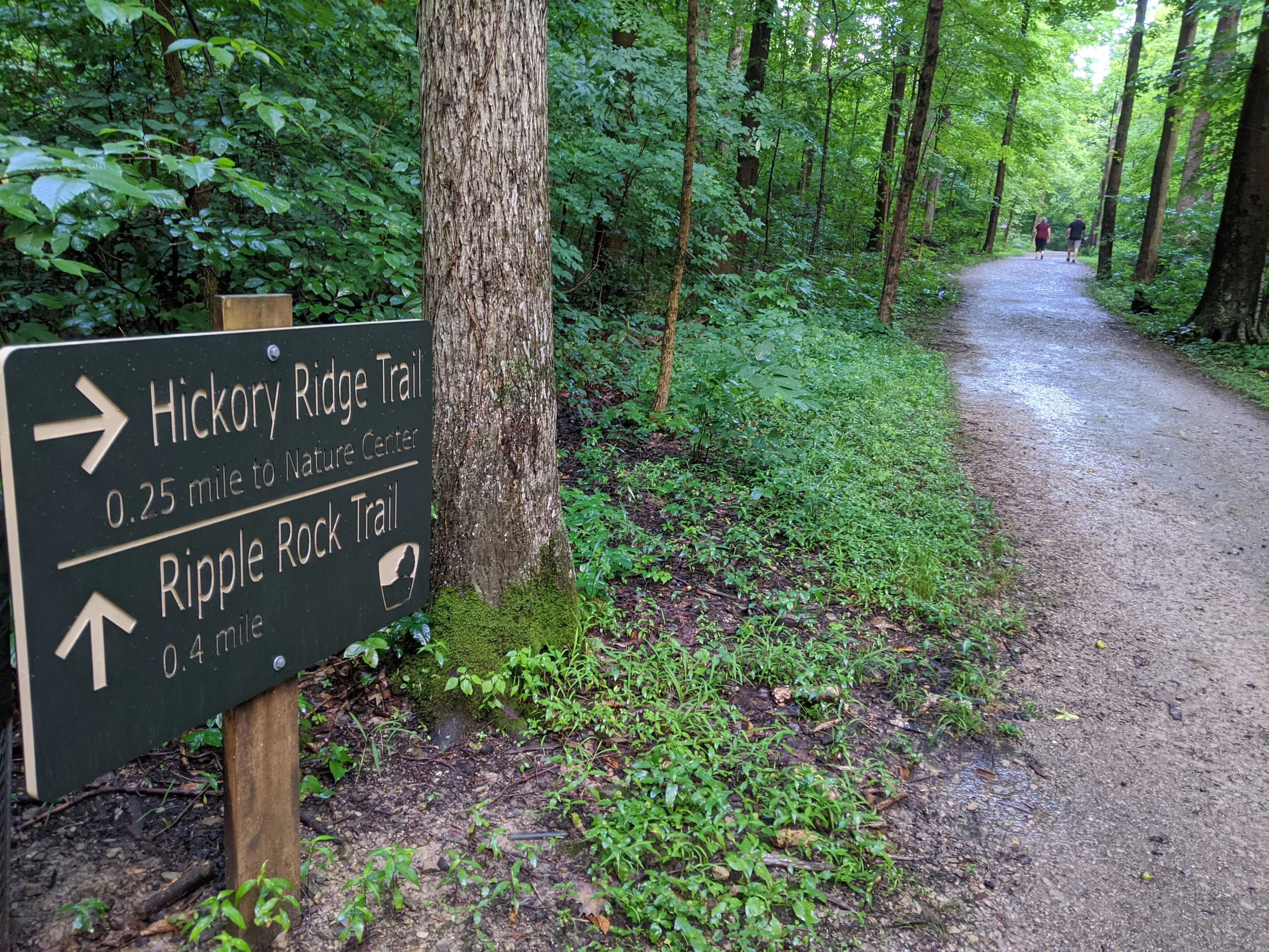 Hike the Overlook-Hickory Ridge-Brookside Trail
