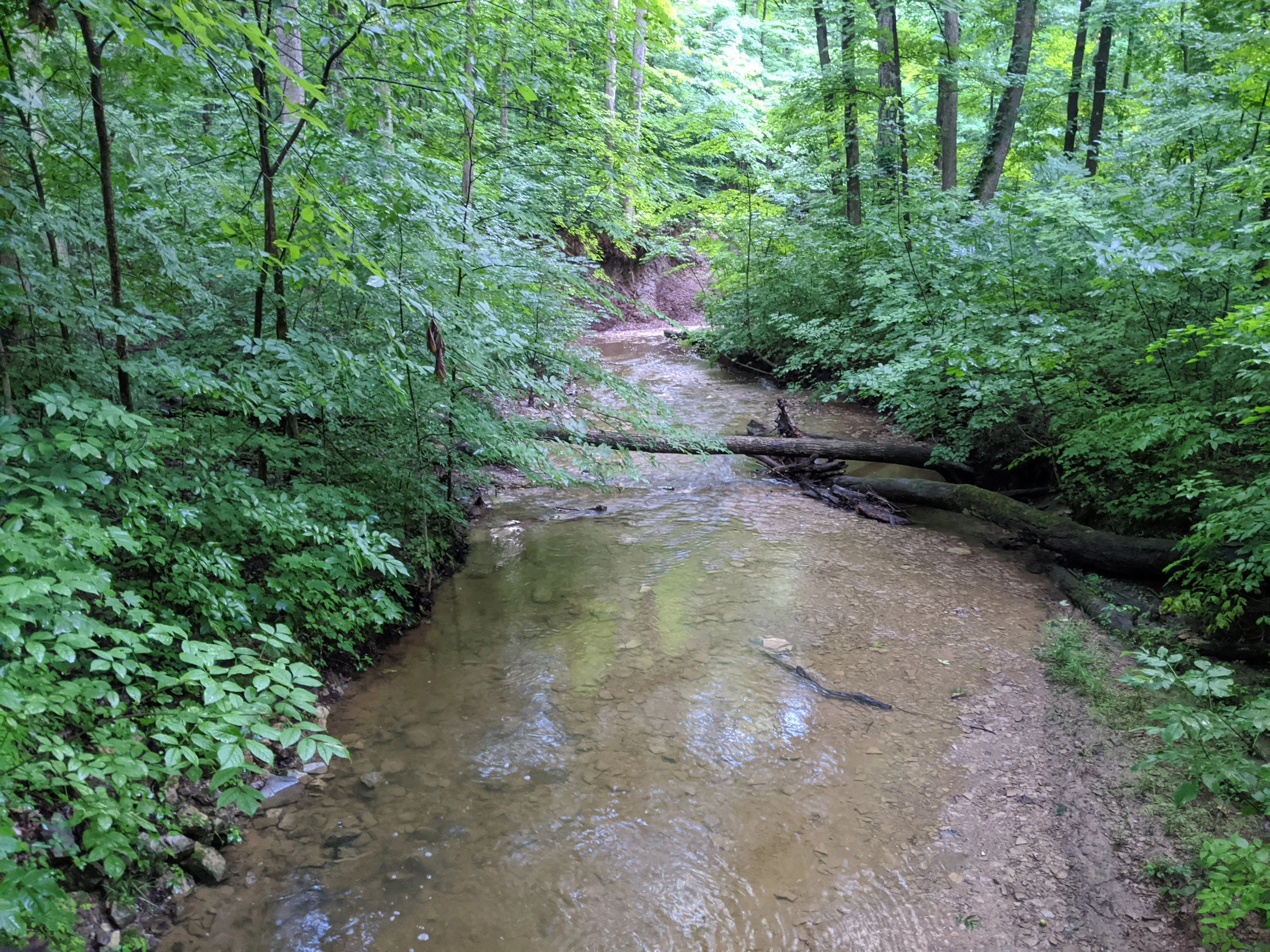 Hike the Overlook-Hickory Ridge-Brookside Trail