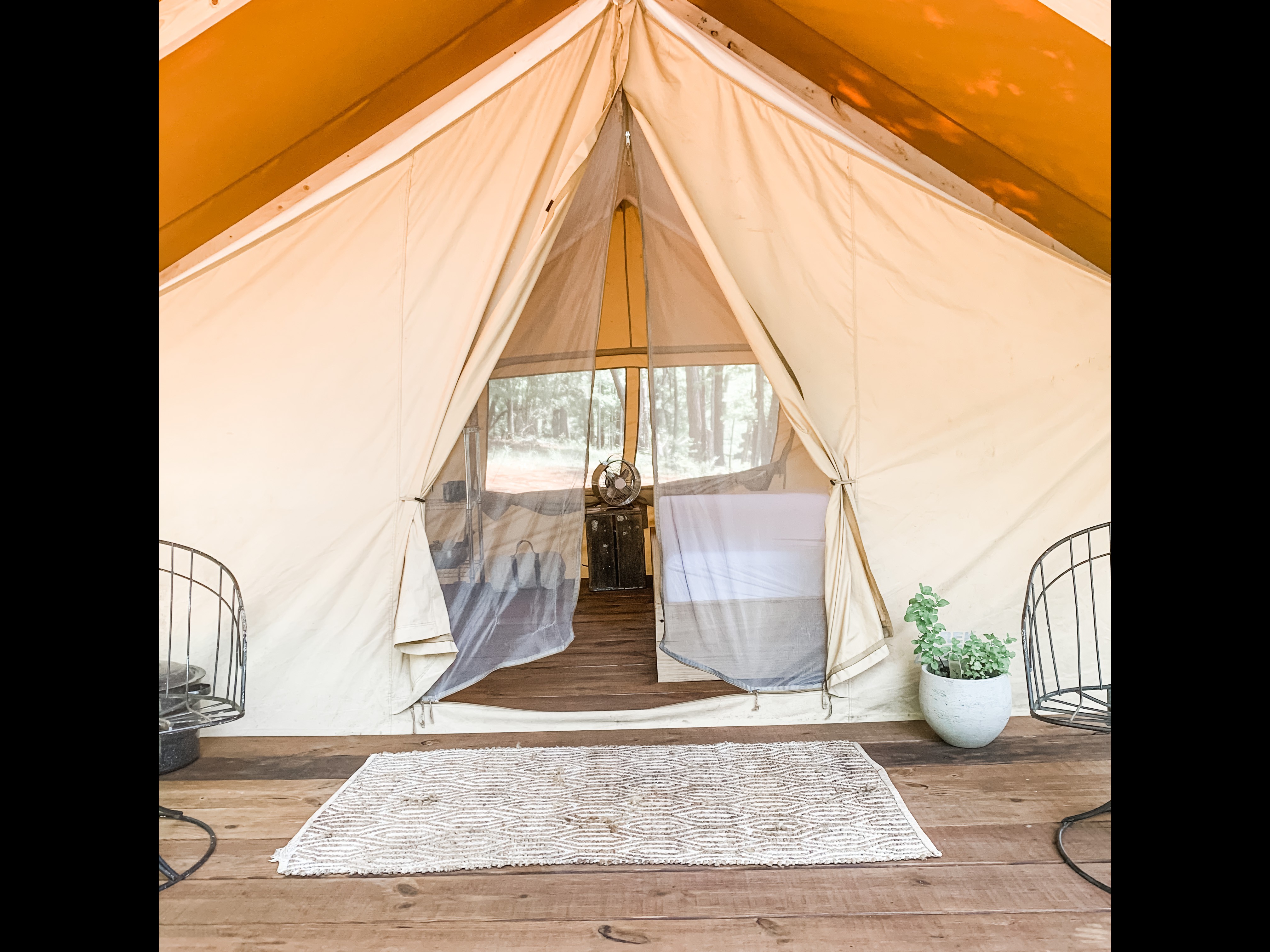 Tent At Ramsden Lake