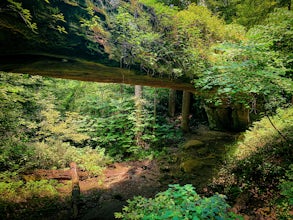 Hike to Pomona Natural Bridge