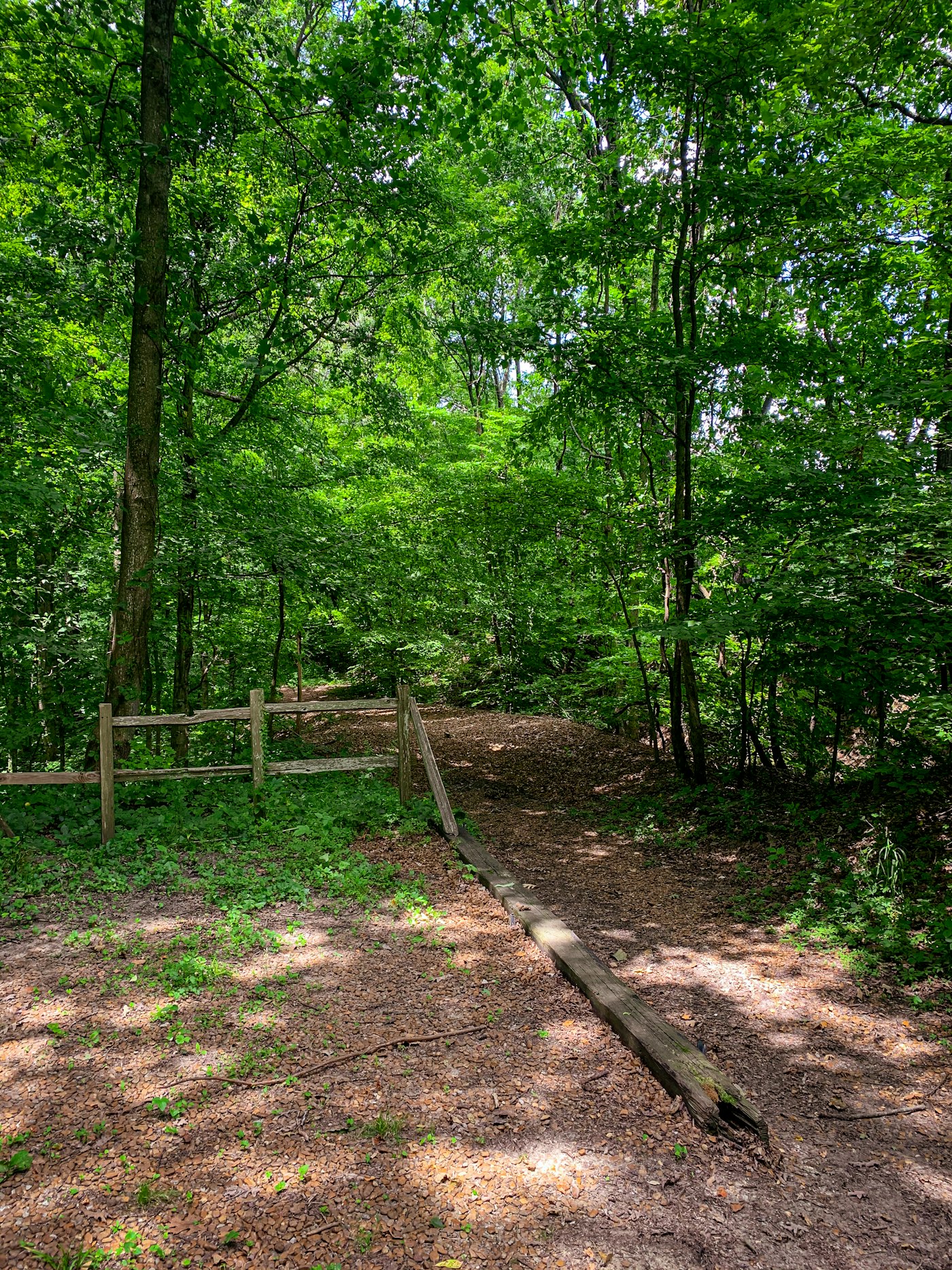 Photo of Drive through the Bald Knob Wilderness