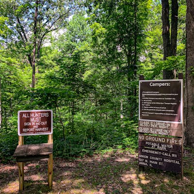 Camp in the Trail of Tears State Forest