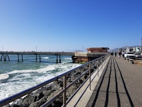 Fish at Pacifica Pier