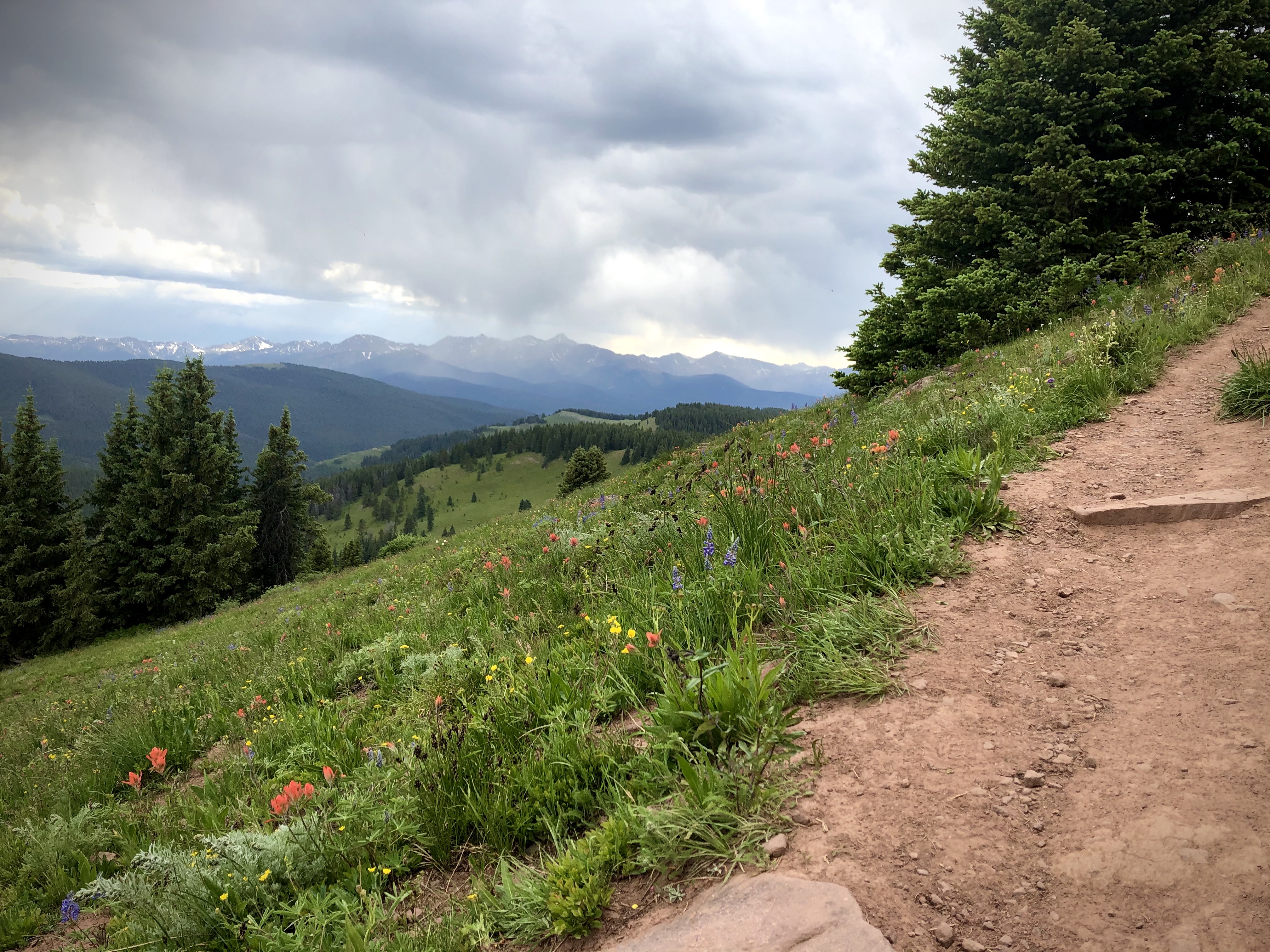 Shrine Ridge Trail