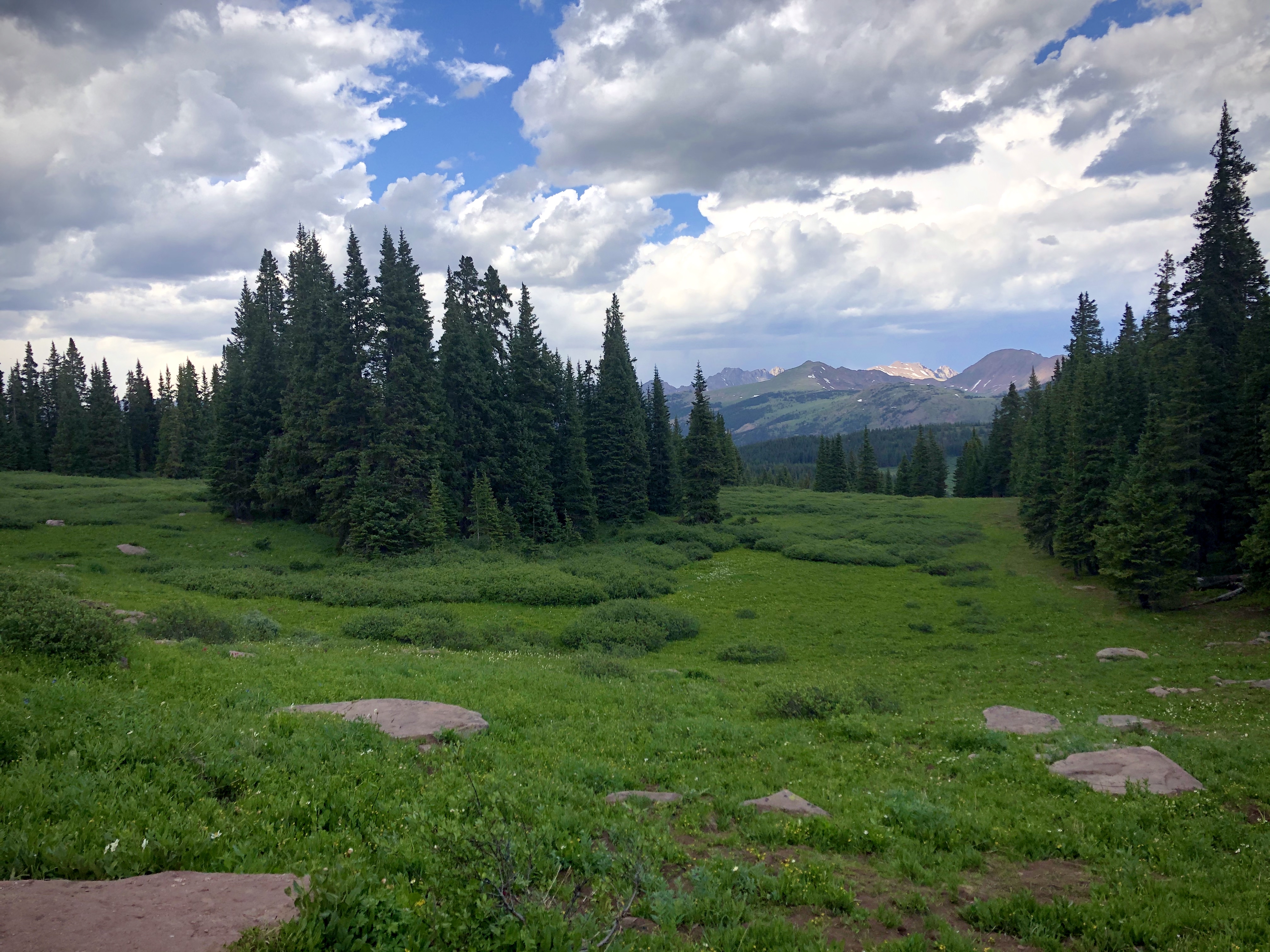 Shrine Ridge Trail