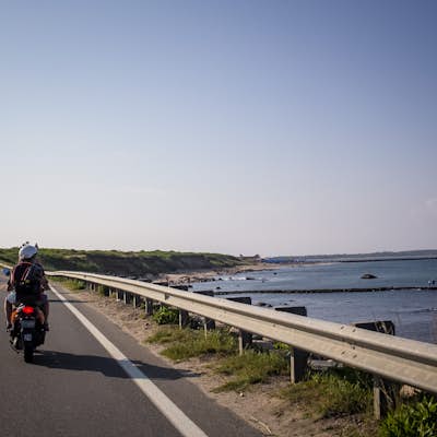 Explore Block Island on Mopeds