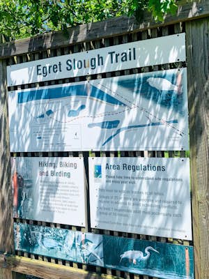 Hike the Egret Slough Trail