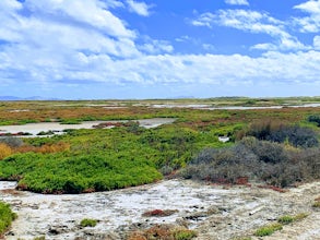 Hike to the beach at Border Field State Park