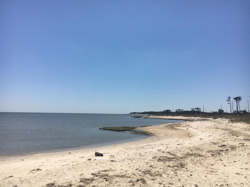 Relax at Haven Beach , Diggs, Virginia