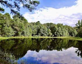 Lake Bob Trail Loop