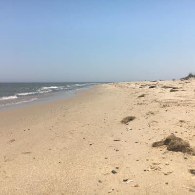 Beach Day at Bethel Beach Natural Area Preserve