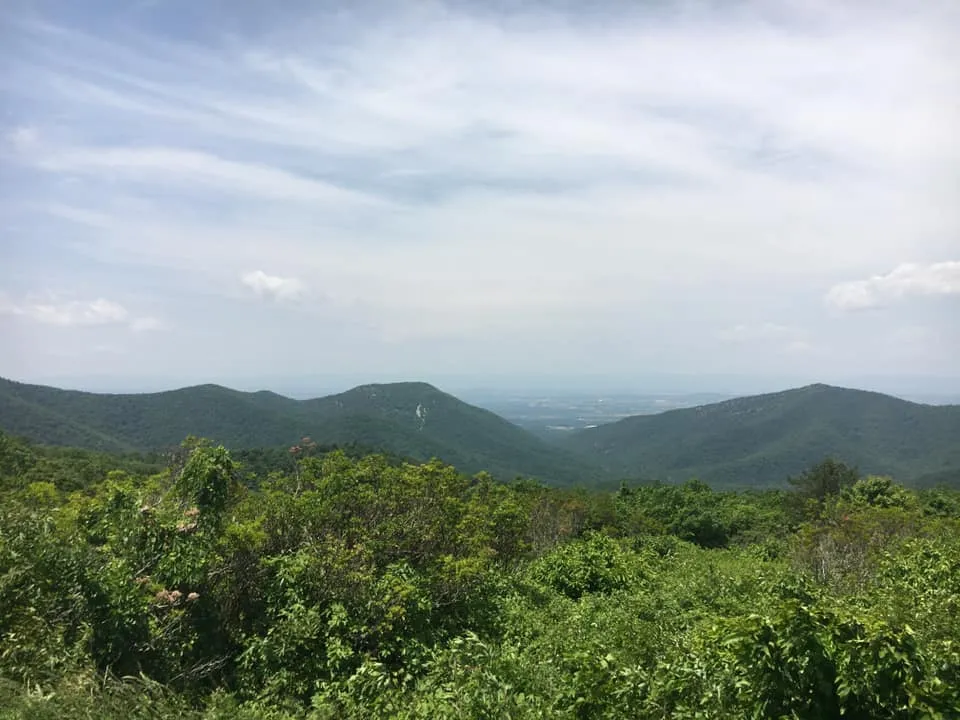 Hike Turk Mountain