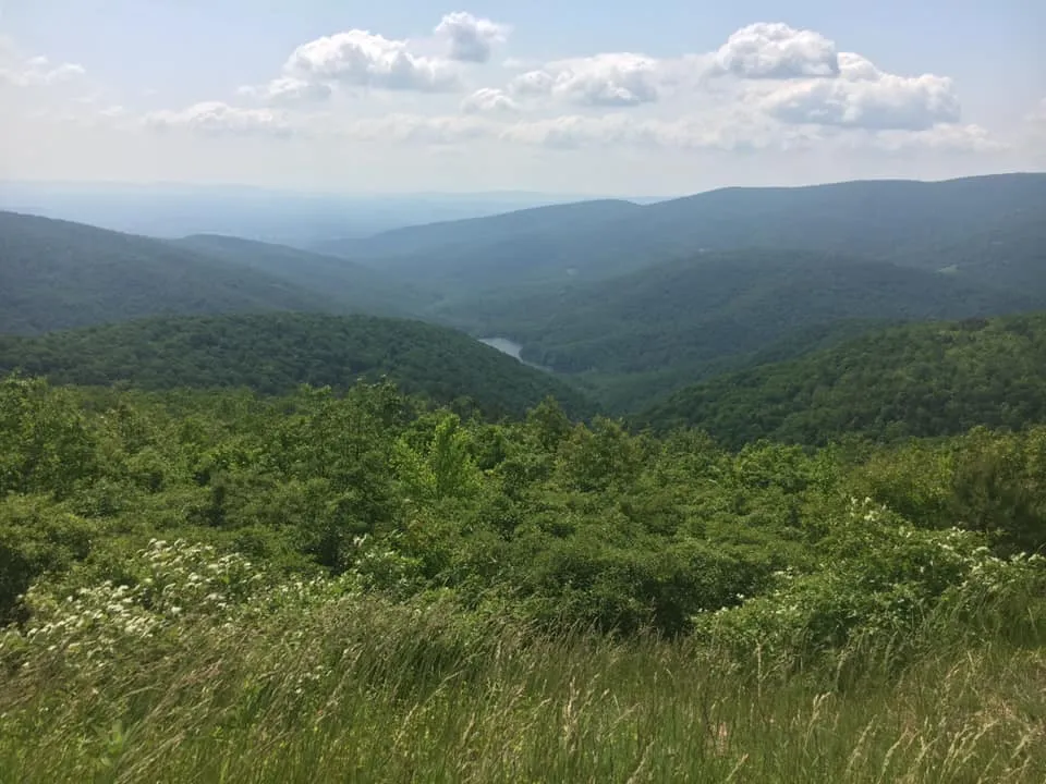 Hike Turk Mountain