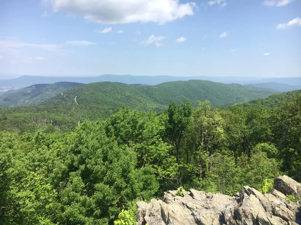 Hike Turk Mountain